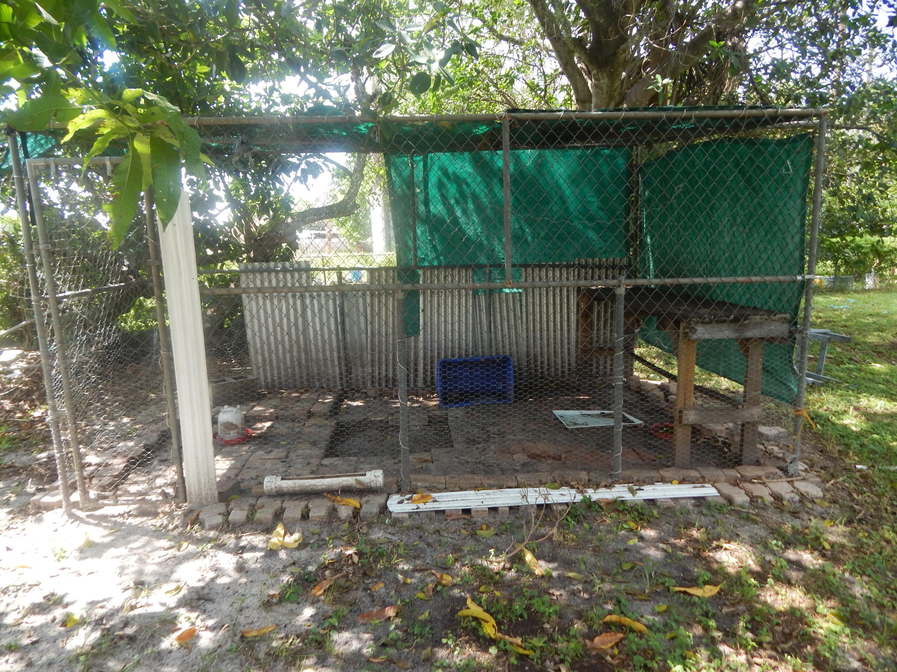 5783 Mango Road Royal Palm Estates, FL 33413 - Photo 47 of 47 a backyard of a house with lots of green space and outdoor seating