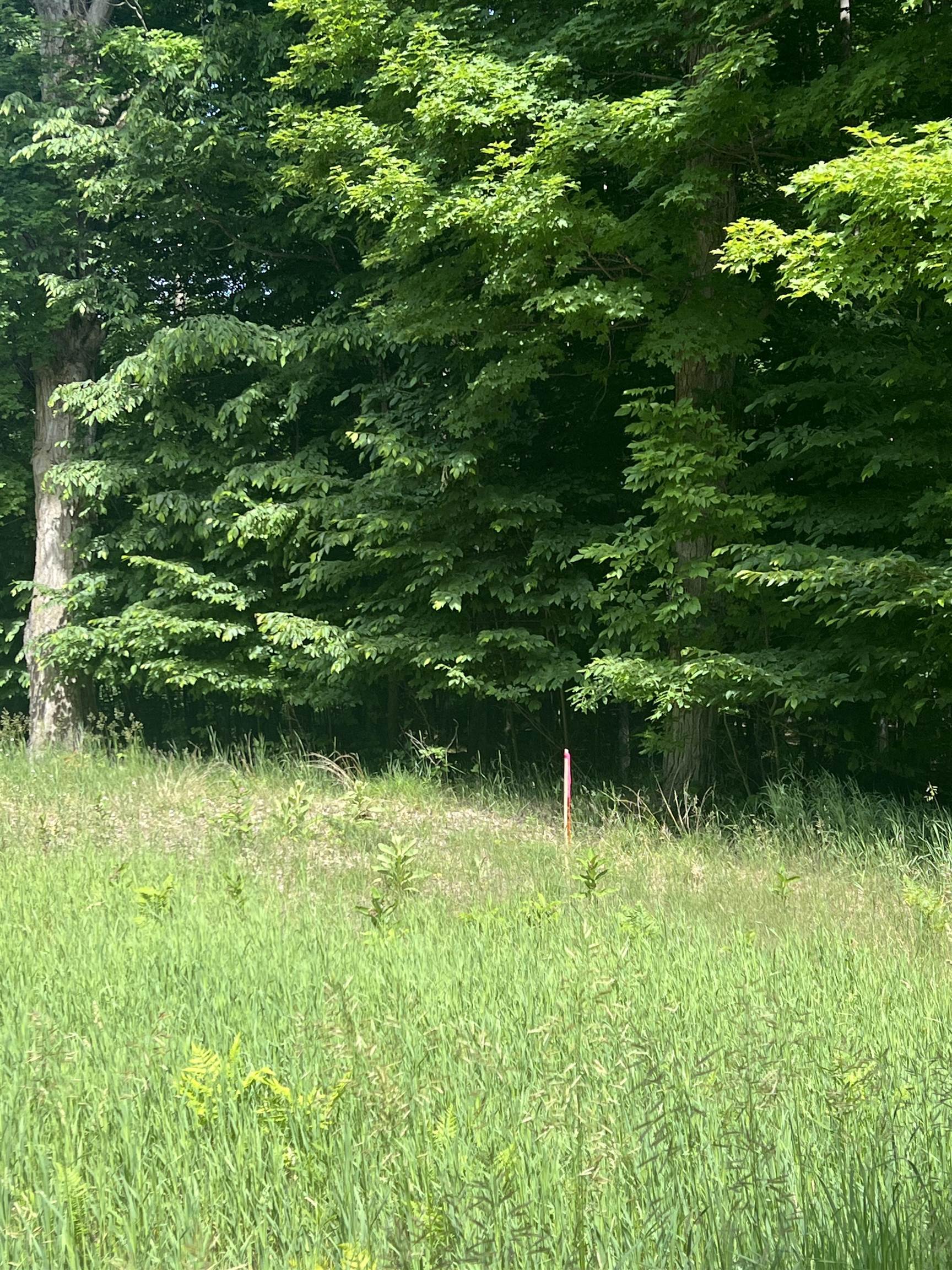 Parcel G East O'Dell Road Williamsburg, MI 49690 - Photo 2 of 7 1947079-642cf3cc-2058-490a-9c60-4ad0b3825391.JPG