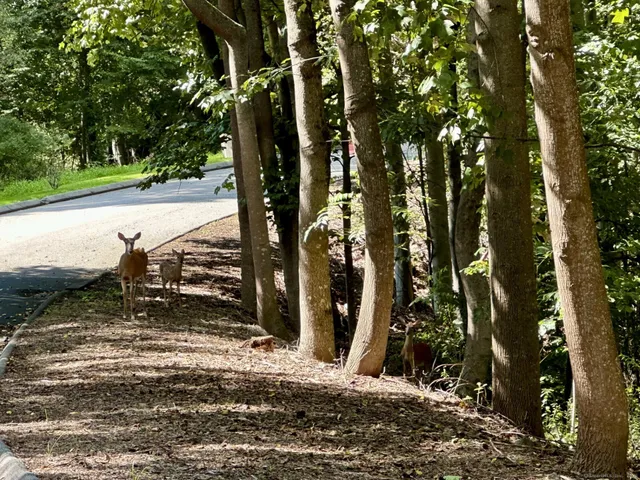 $525,000 | Lot #21 South Brook Drive, Stamford, CT 06903