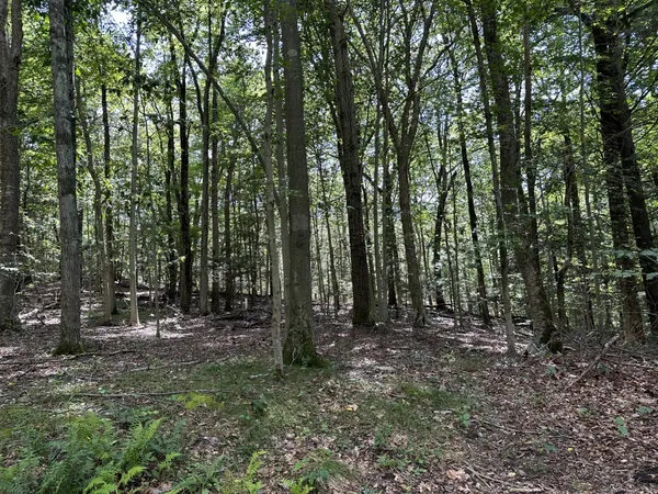 $525,000 | Lot #21 South Brook Drive, Stamford, CT 06903