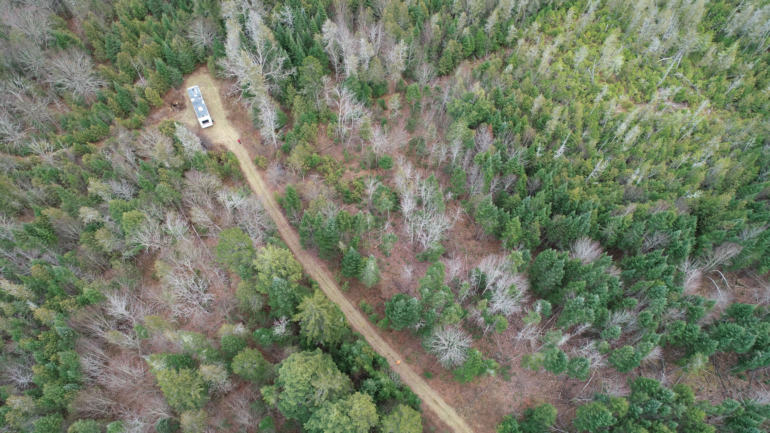 Lot 2 Off Bangor Road Houlton, ME 04730 - Photo 10 of 44 DJI_0372