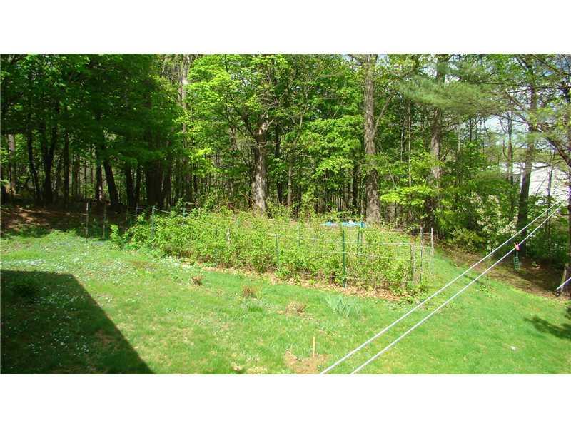 5 Forest Hill Road Temple, ME 04984 - Photo 10 of 16 Land/Lot. Great raspberry patch on...