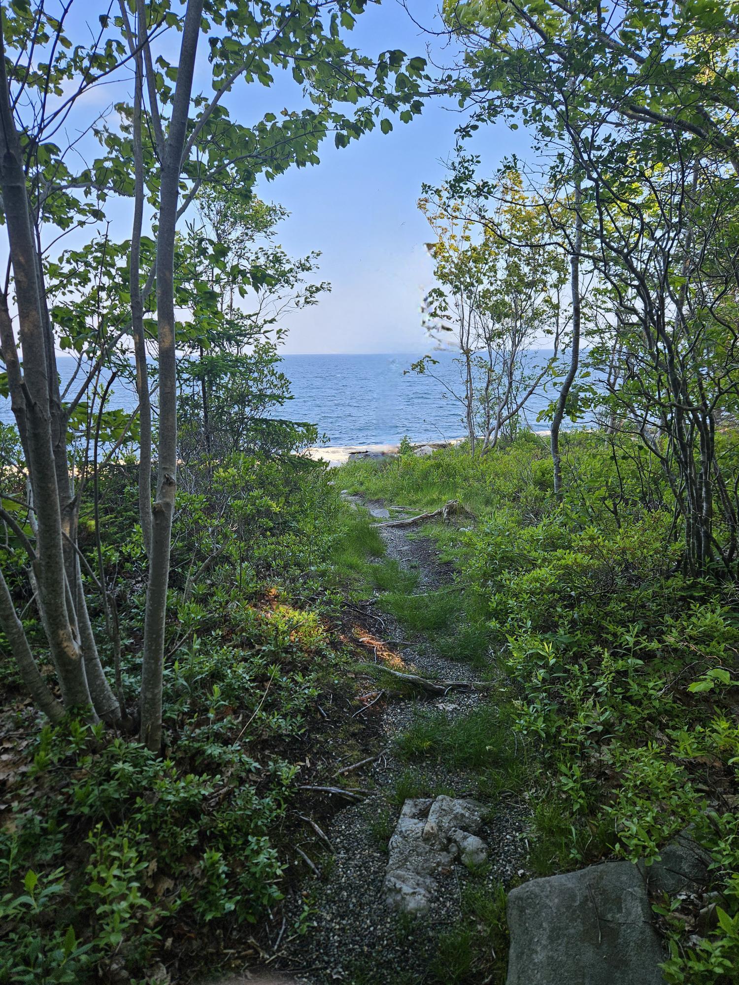 42 Old Mill Road New Harbor, ME 04554 - Photo 52 of 65 Path to Cunner Rock