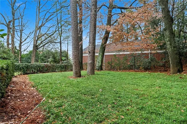 a view of a backyard with large trees