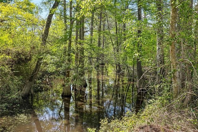 11180 Wardline Road Hammond, LA 70401 - Photo 28 of 32