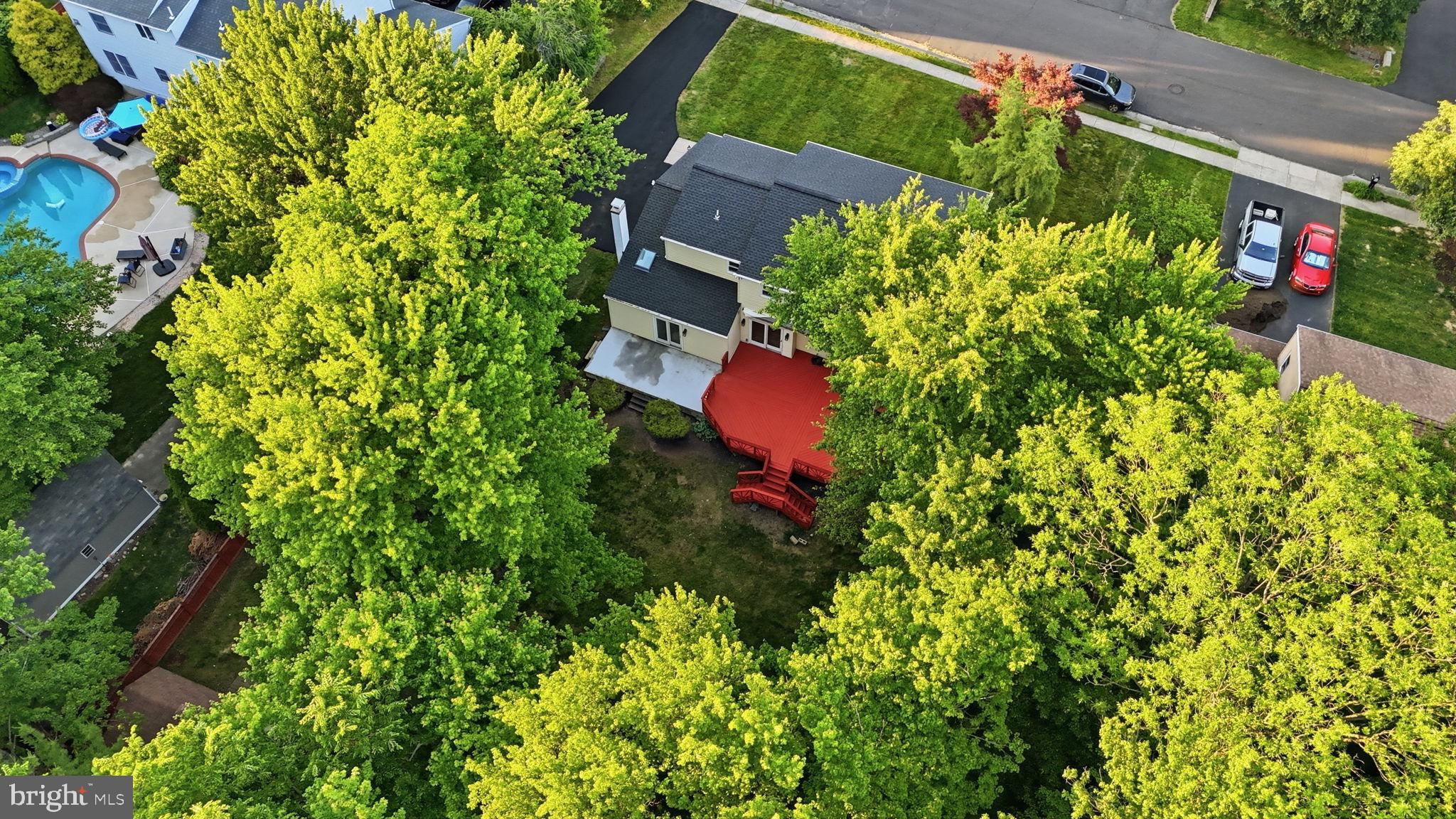 2461 Pine Cone Road Warrington, PA 18976 - Photo 47 of 51 Wood back yard view