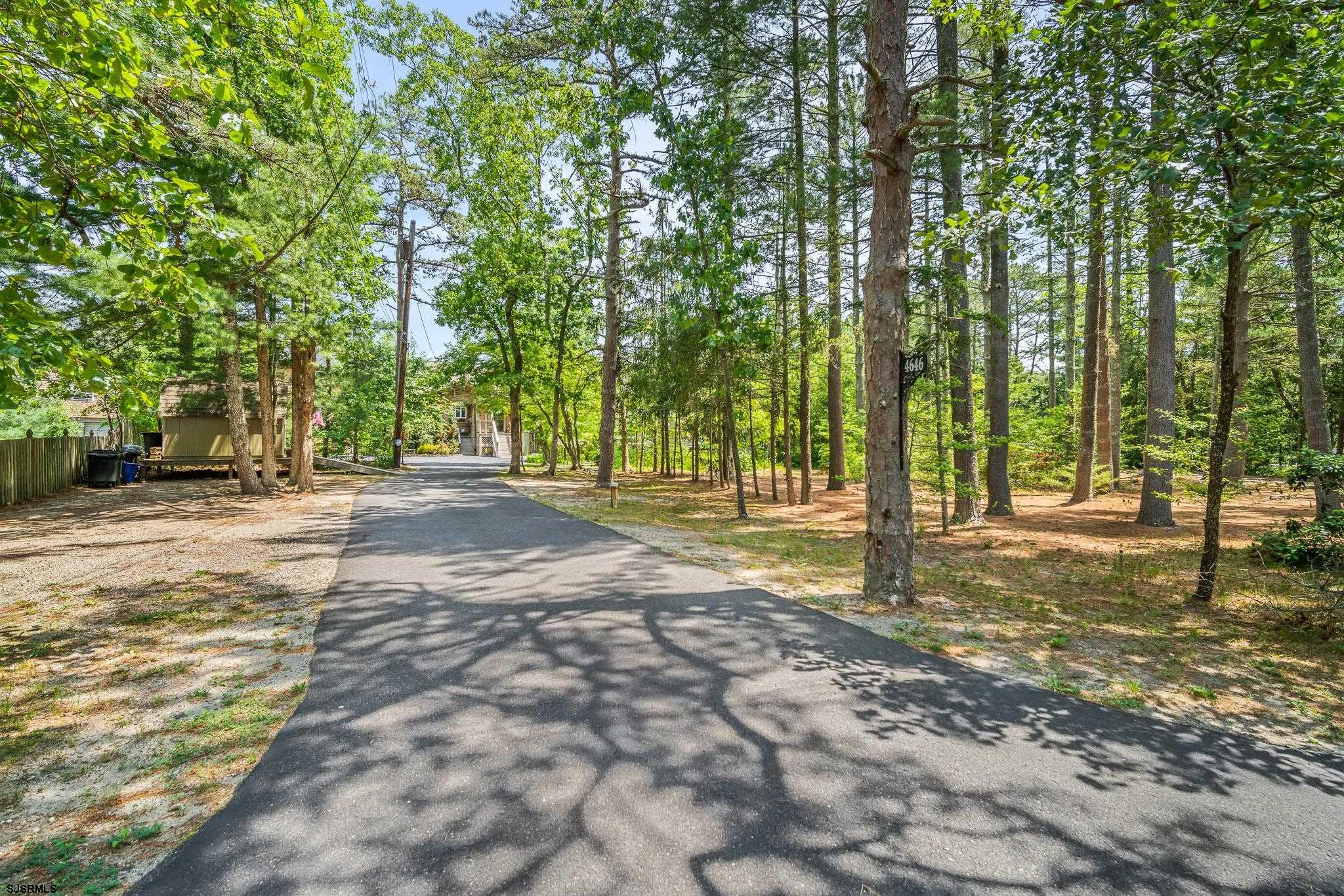 4646 Riverside Drive Sweetwater, NJ 08037 - Photo 21 of 55 a view of a tree with a yard