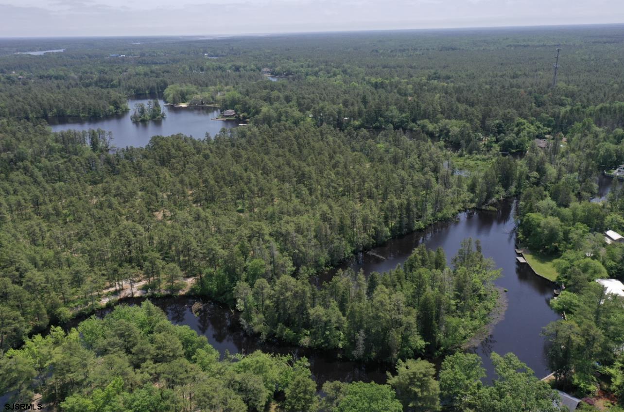 4646 Riverside Drive Sweetwater, NJ 08037 - Photo 3 of 55 an aerial view of residential house with outdoor space and trees all around