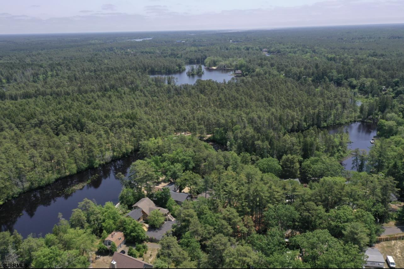 4646 Riverside Drive Sweetwater, NJ 08037 - Photo 4 of 55 an aerial view of residential house with outdoor space and trees all around
