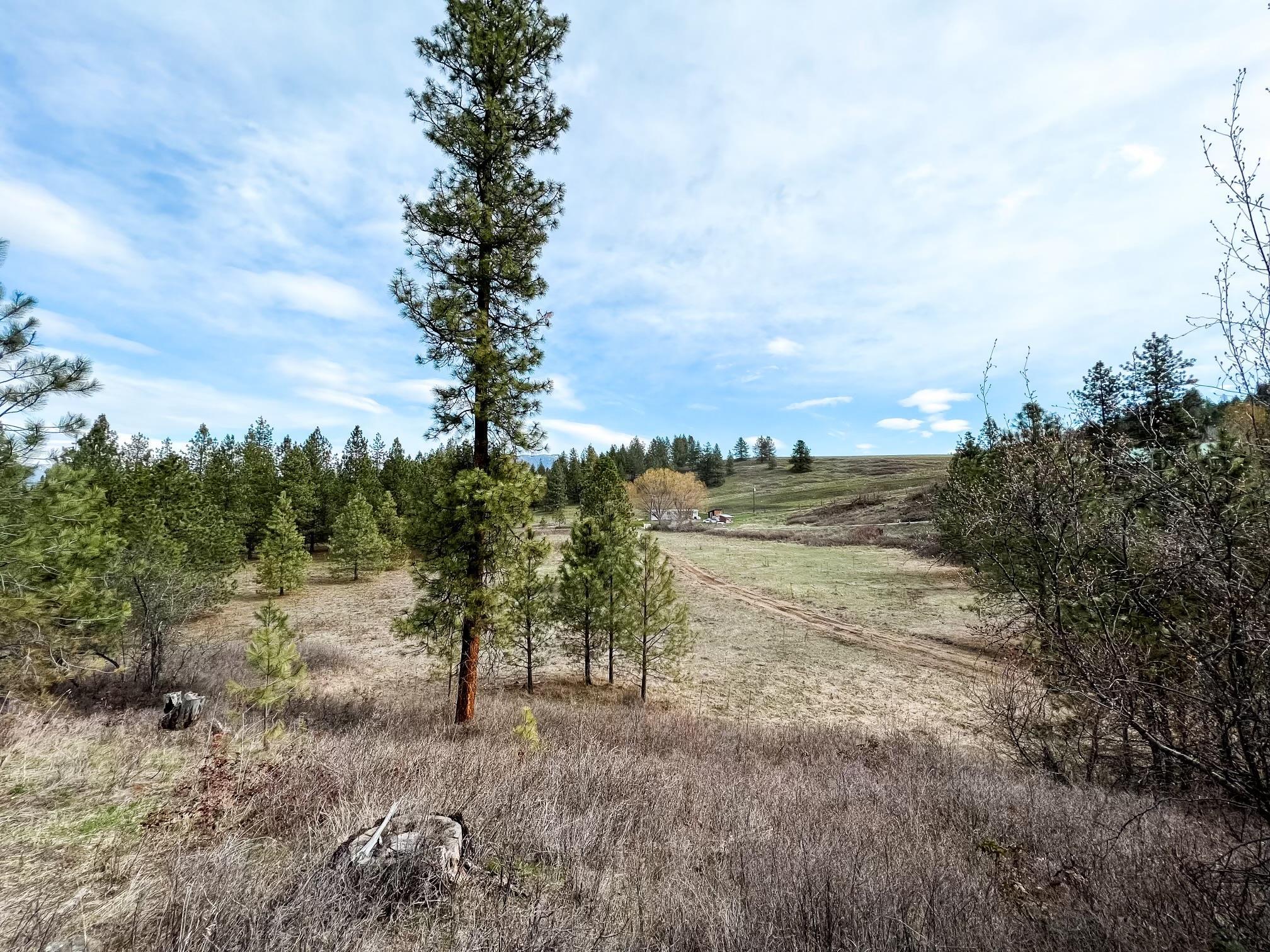 63 X Mahoney Road Colville, WA 99114 - Photo 1 of 17