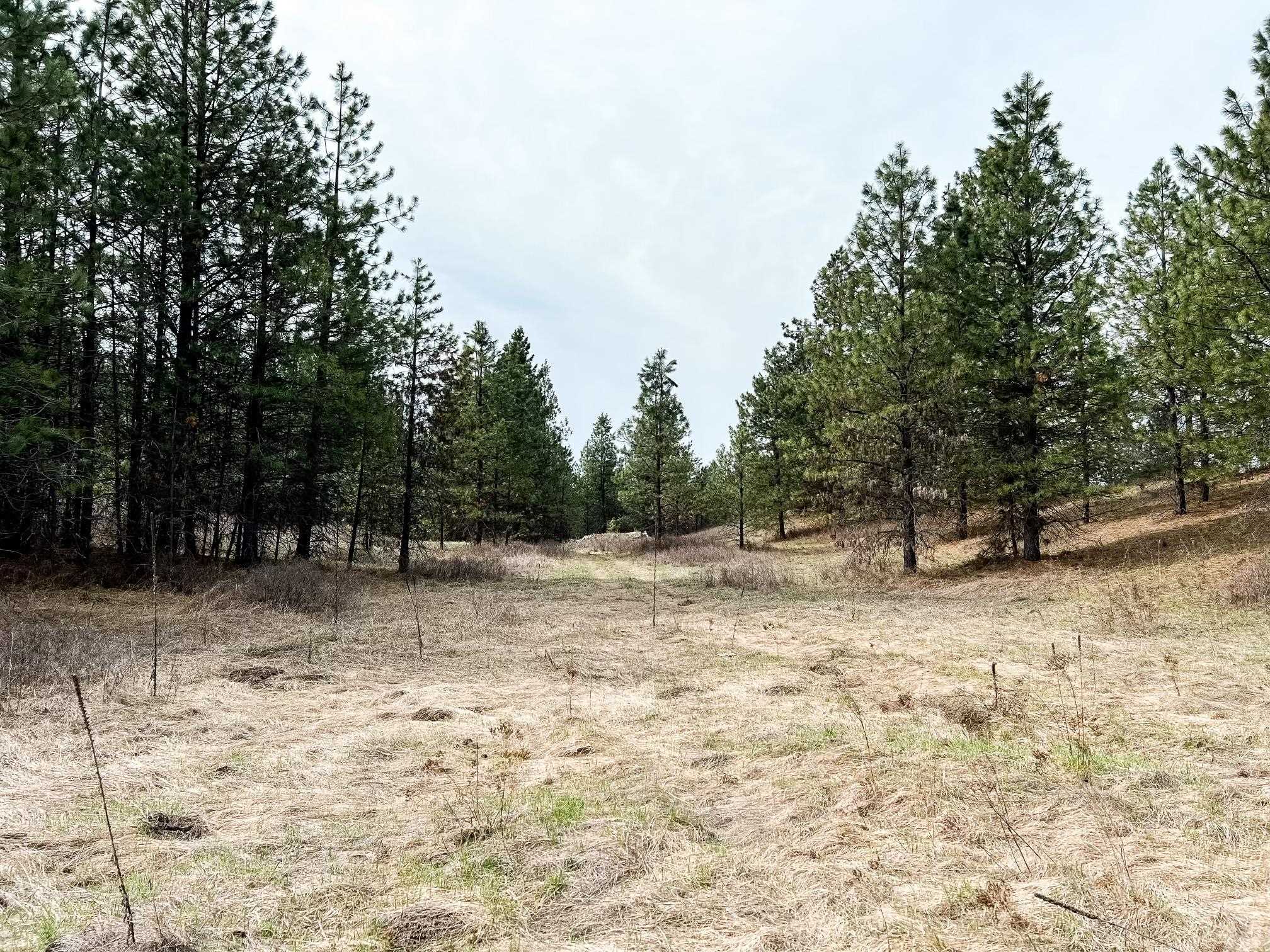 63 X Mahoney Road Colville, WA 99114 - Photo 13 of 17