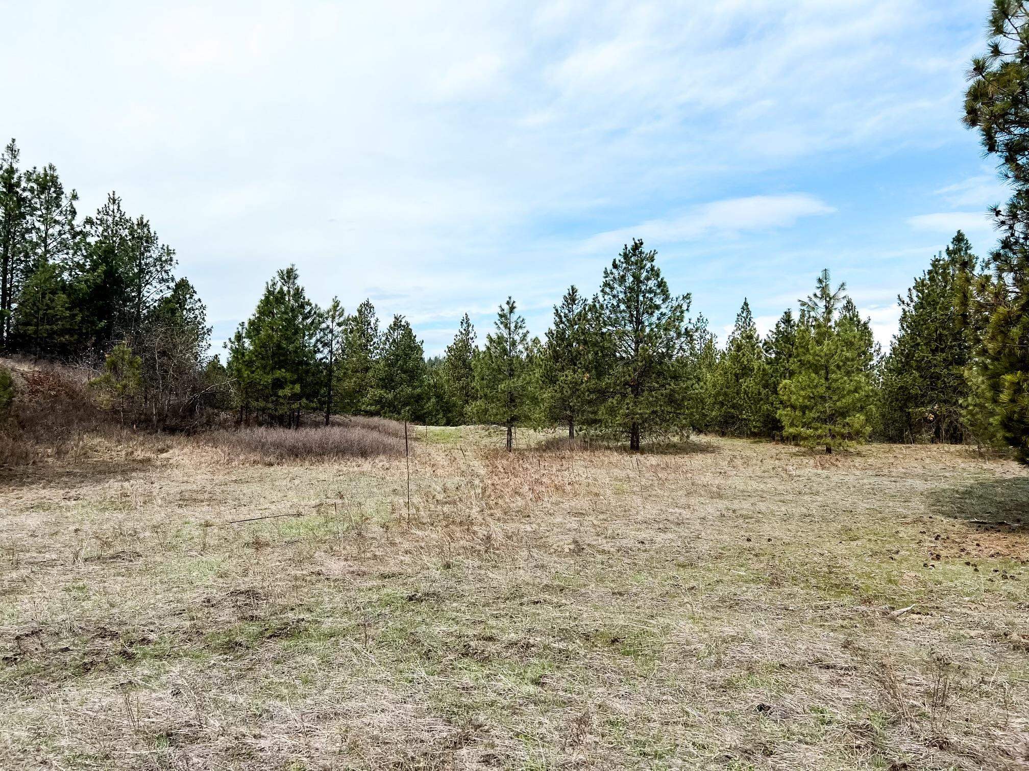 63 X Mahoney Road Colville, WA 99114 - Photo 15 of 17