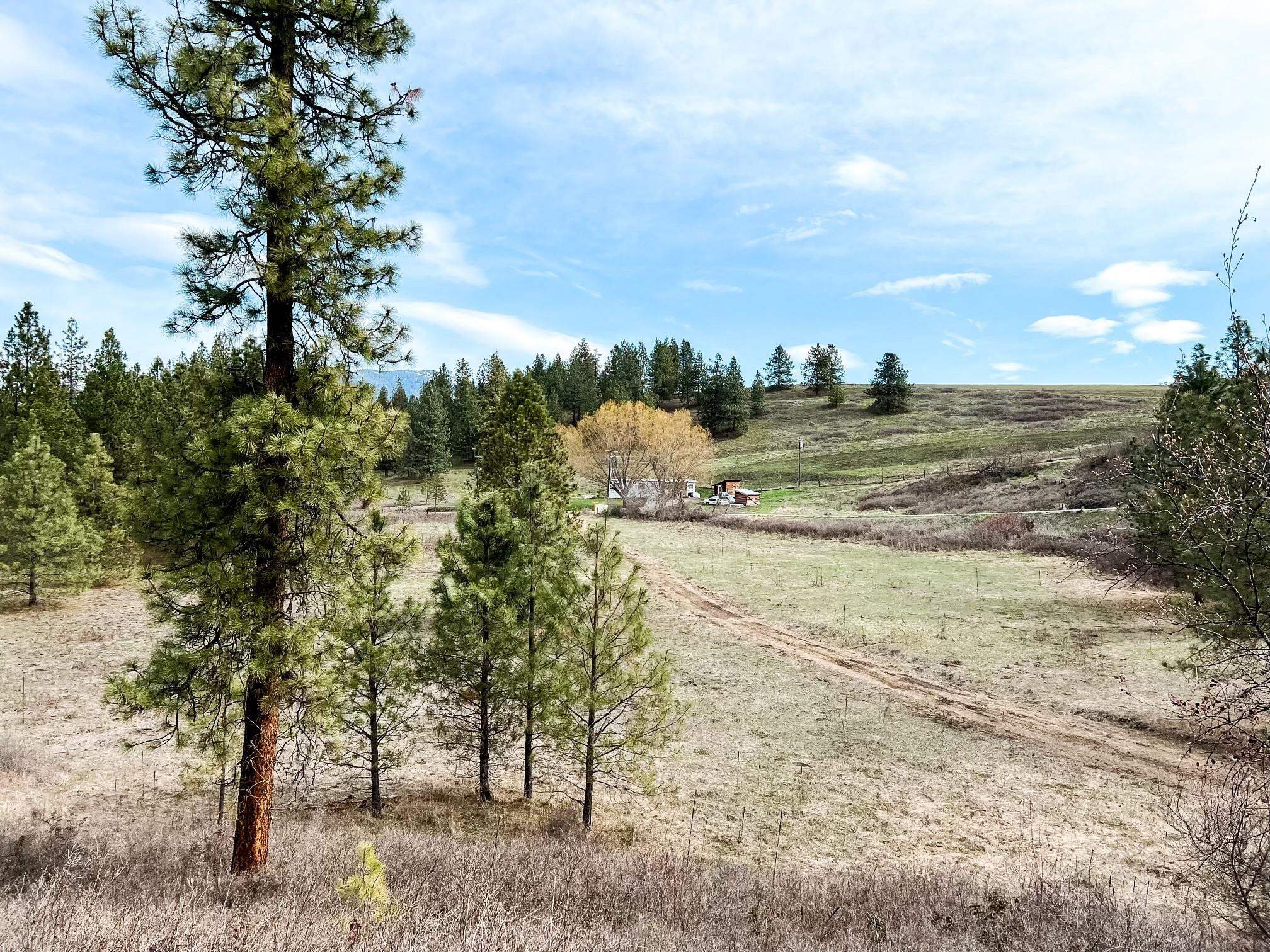 63 X Mahoney Road Colville, WA 99114 - Photo 16 of 17