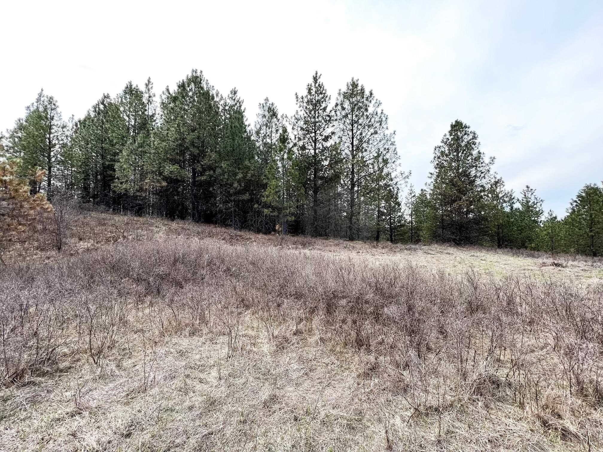 63 X Mahoney Road Colville, WA 99114 - Photo 17 of 17