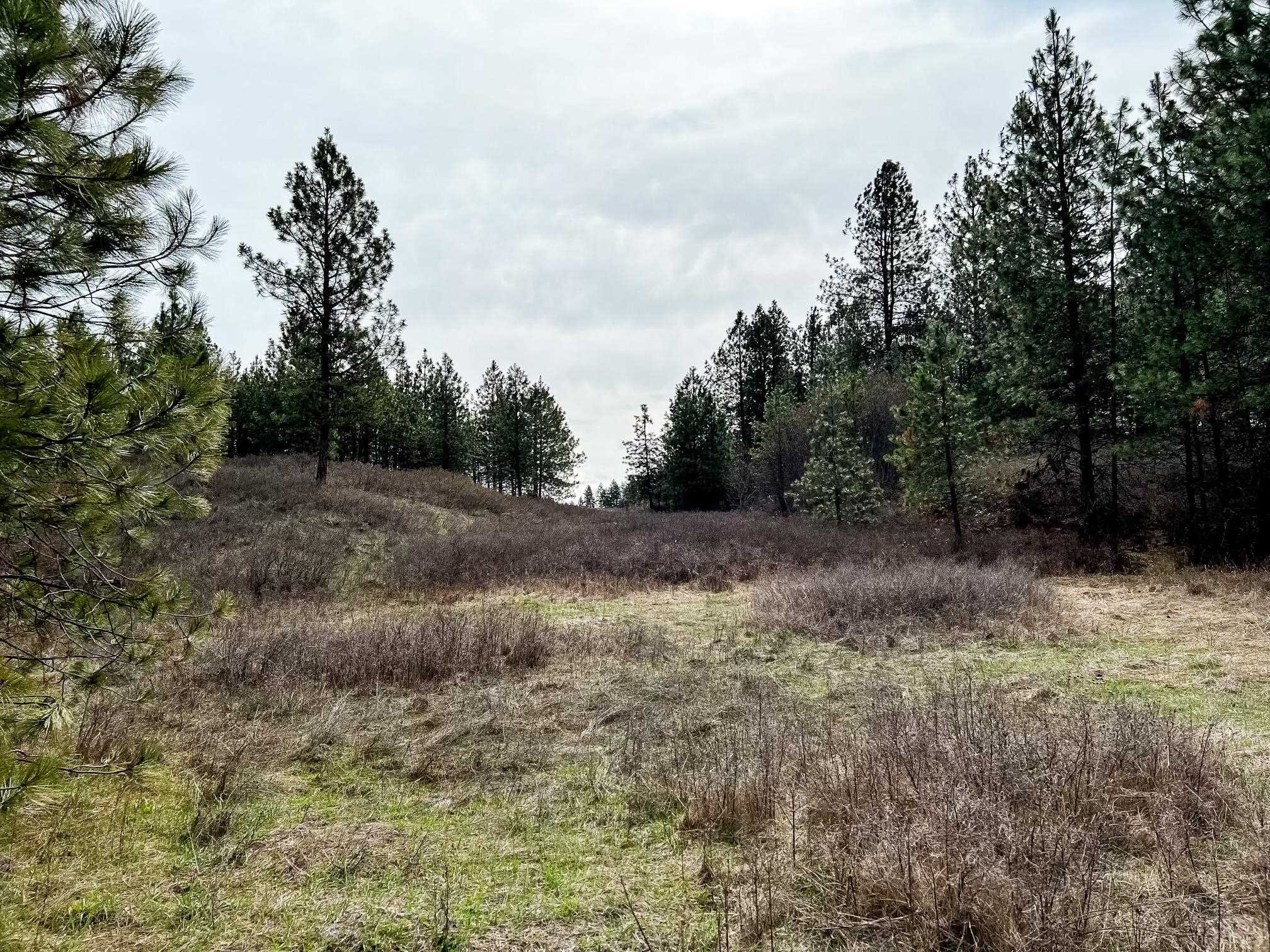 63 X Mahoney Road Colville, WA 99114 - Photo 2 of 17