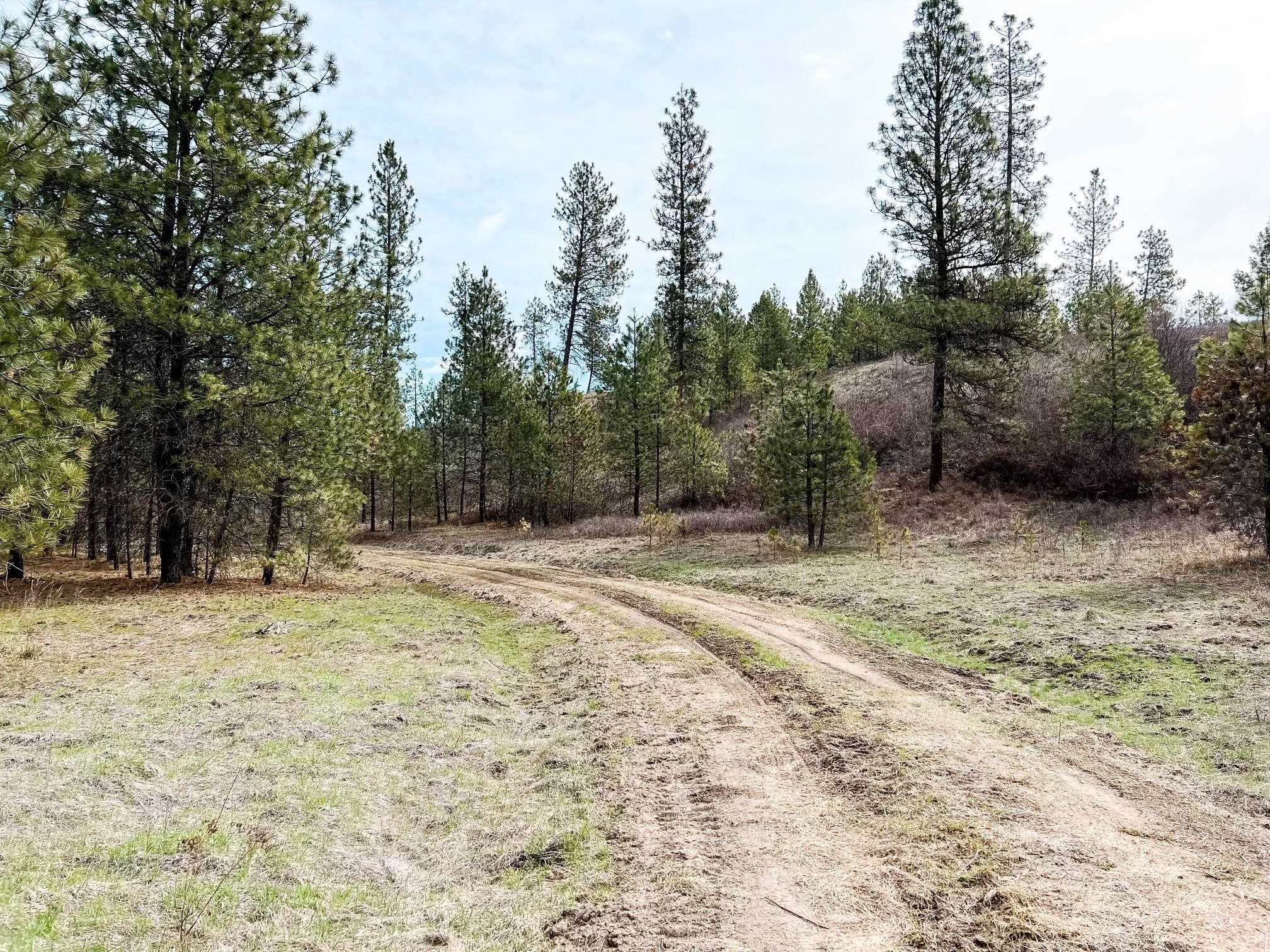 63 X Mahoney Road Colville, WA 99114 - Photo 3 of 17