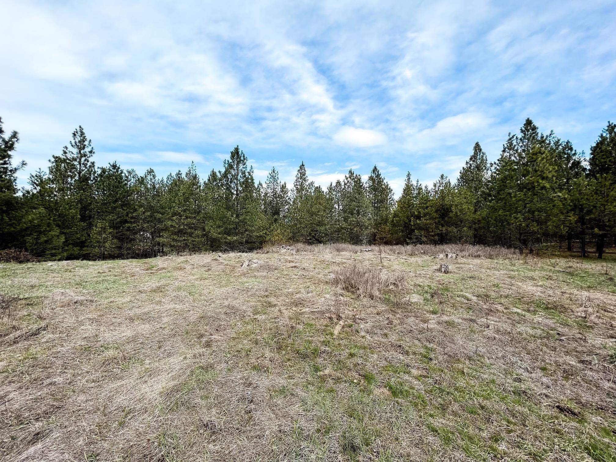 63 X Mahoney Road Colville, WA 99114 - Photo 4 of 17