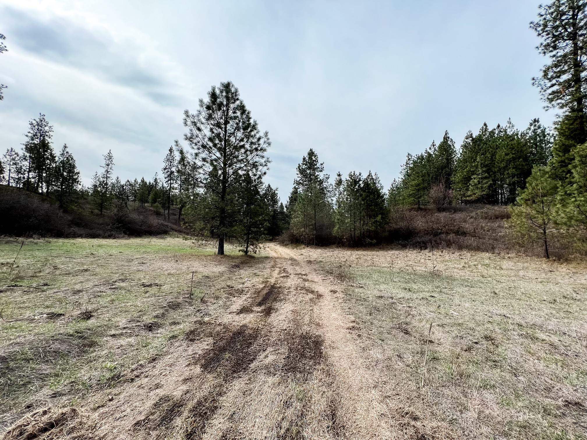 63 X Mahoney Road Colville, WA 99114 - Photo 6 of 17