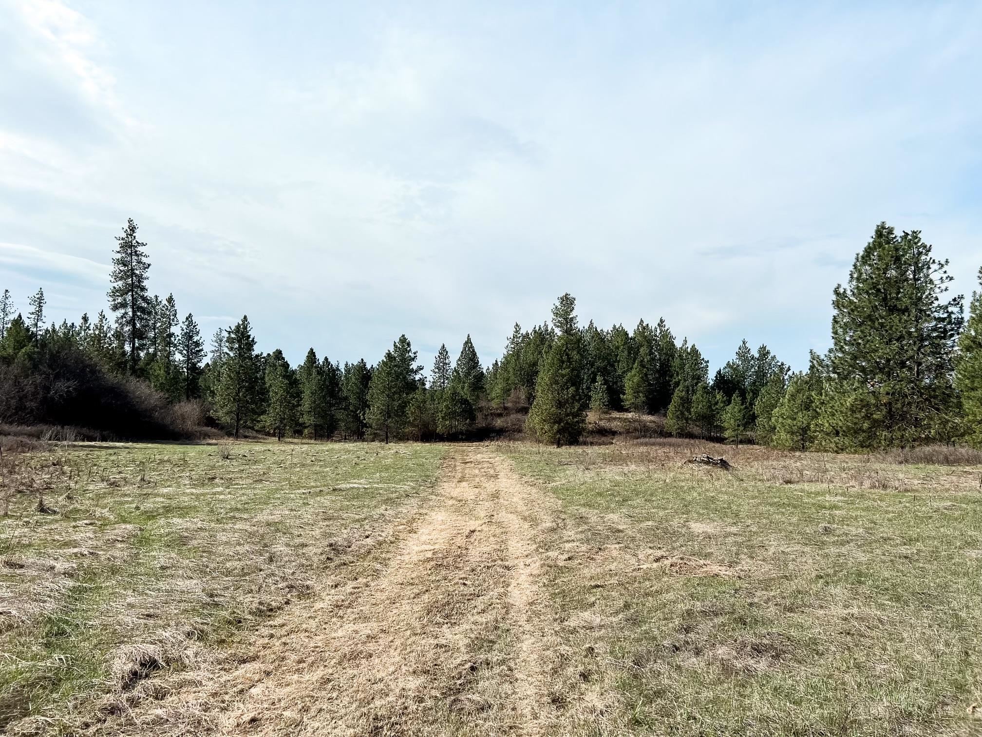 63 X Mahoney Road Colville, WA 99114 - Photo 7 of 17