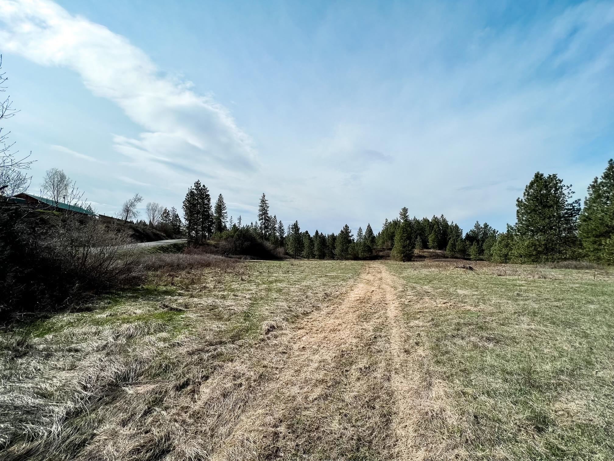 63 X Mahoney Road Colville, WA 99114 - Photo 9 of 17