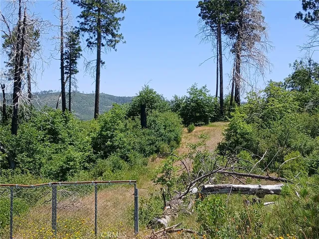a view of a city with lush green forest