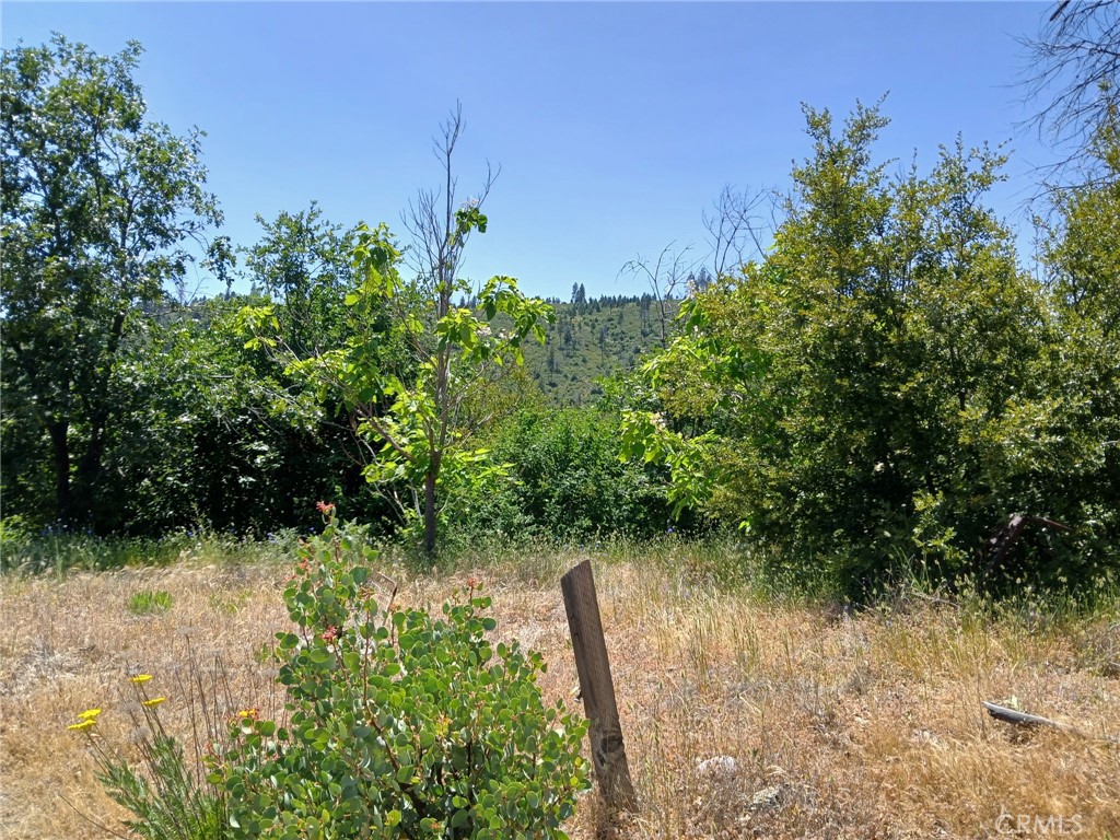 13392 Hog Ranch Road Oroville, CA 95965 - Photo 11 of 13 a view of a garden