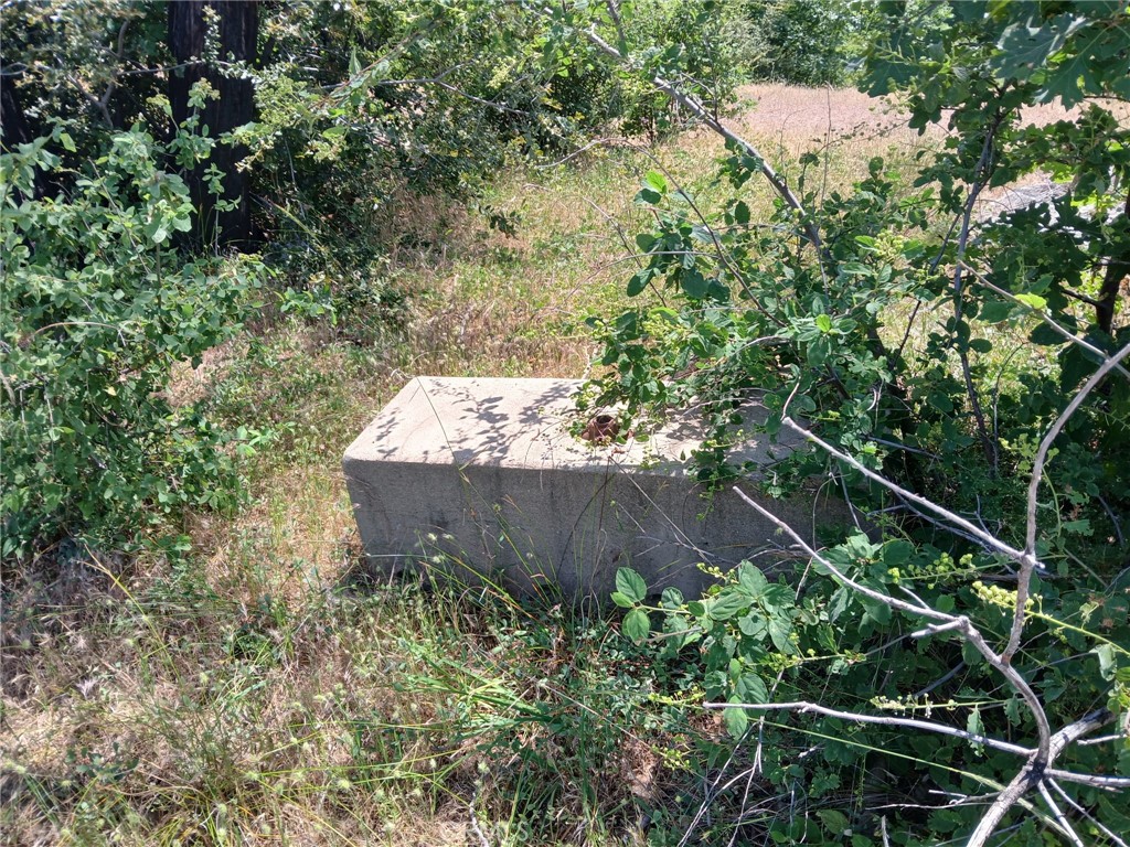 13392 Hog Ranch Road Oroville, CA 95965 - Photo 12 of 13 an outdoor space with plants