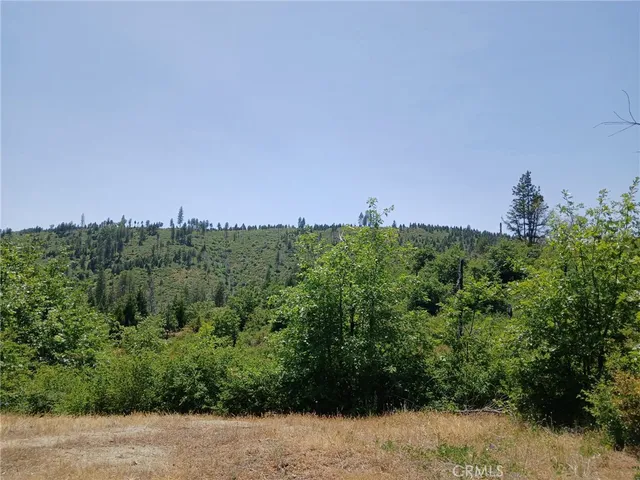 $45,000 | 13392 Hog Ranch Road, Oroville, CA 95965