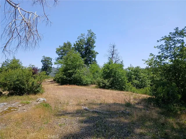 a view of a yard with plants and a trees