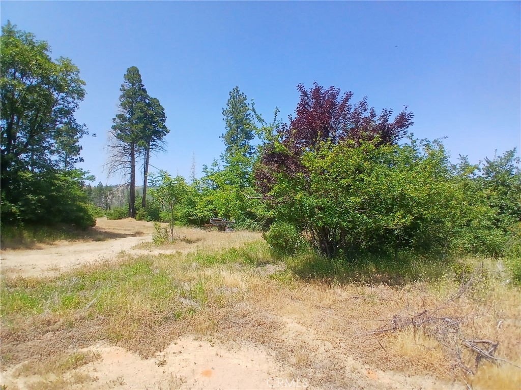 13392 Hog Ranch Road Oroville, CA 95965 - Photo 5 of 13 a backyard of a house with lots of green space