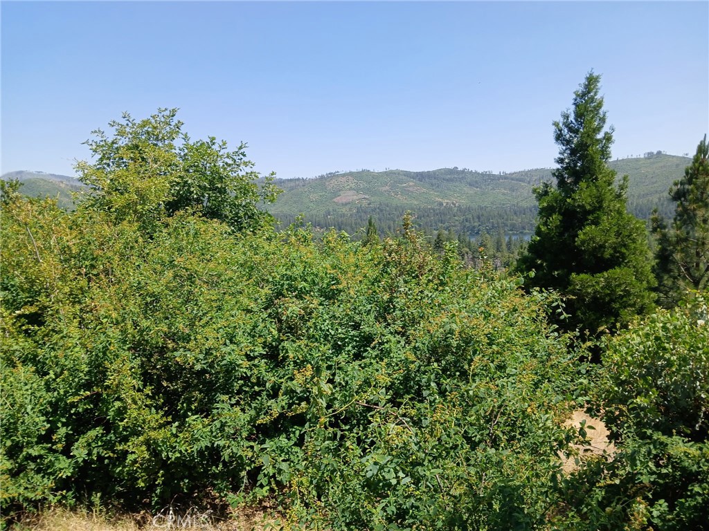 13392 Hog Ranch Road Oroville, CA 95965 - Photo 6 of 13 a view of a city with lush green forest