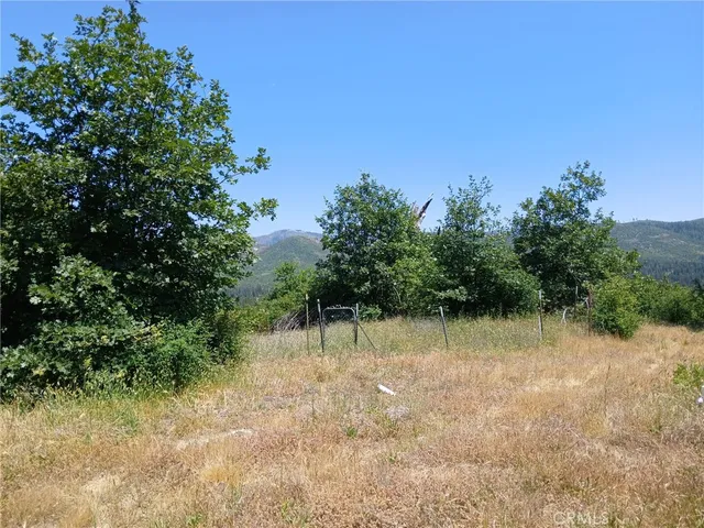 a view of a dry yard with trees