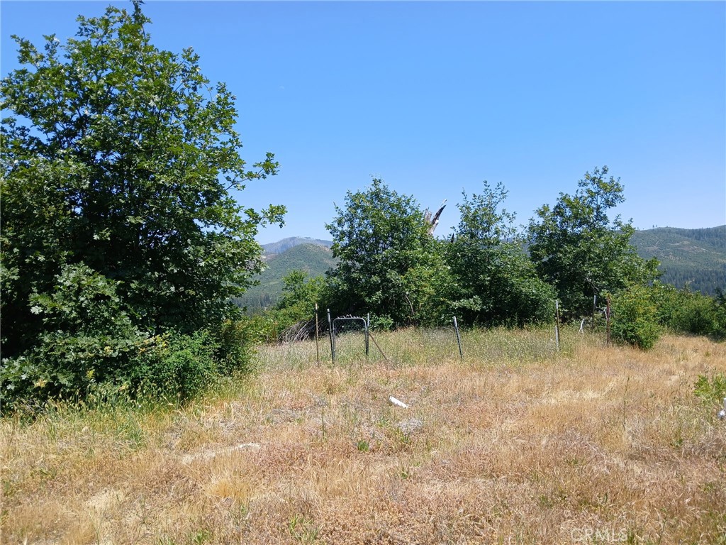 13392 Hog Ranch Road Oroville, CA 95965 - Photo 7 of 13 a view of a yard with a tree