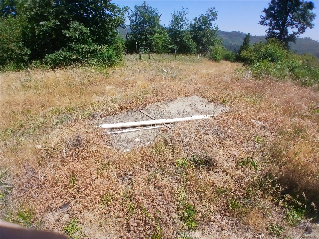 13392 Hog Ranch Road Oroville, CA 95965 - Photo 8 of 13 a view of a dry yard with trees
