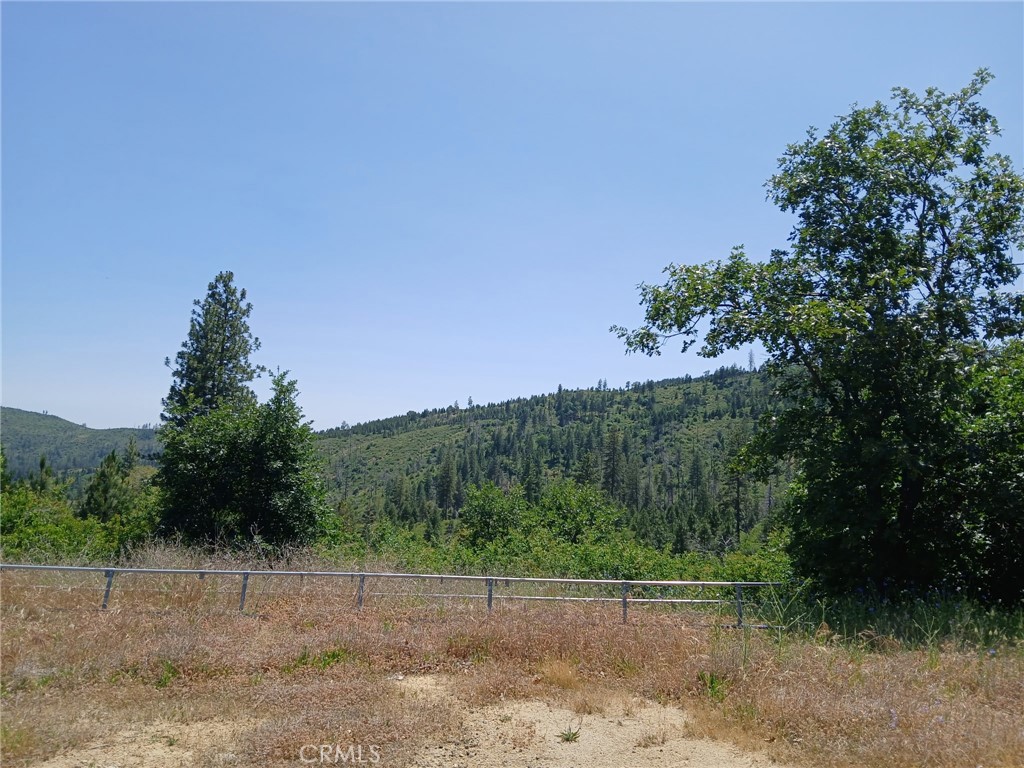 13392 Hog Ranch Road Oroville, CA 95965 - Photo 9 of 13 a view of a yard
