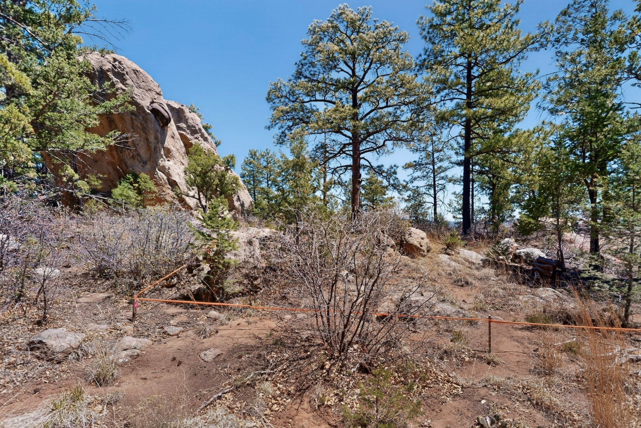 30 Monte La Cueva Road Glorieta, NM 87535 - Photo 89 of 91