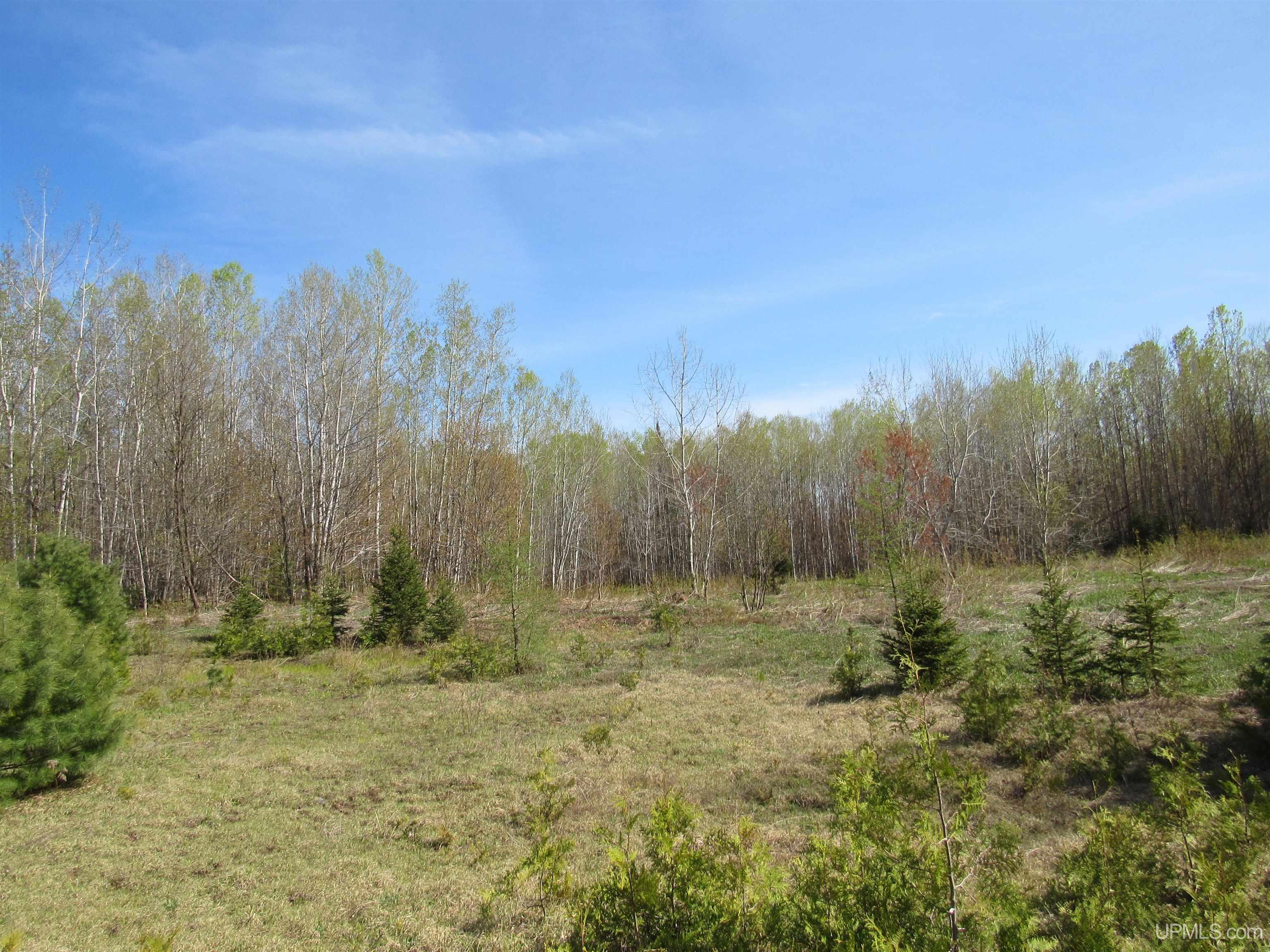 Tbd Off Rice Lake Road, Unit NO DRIVE BYS Lake Linden, MI 49945 - Photo 36 of 40