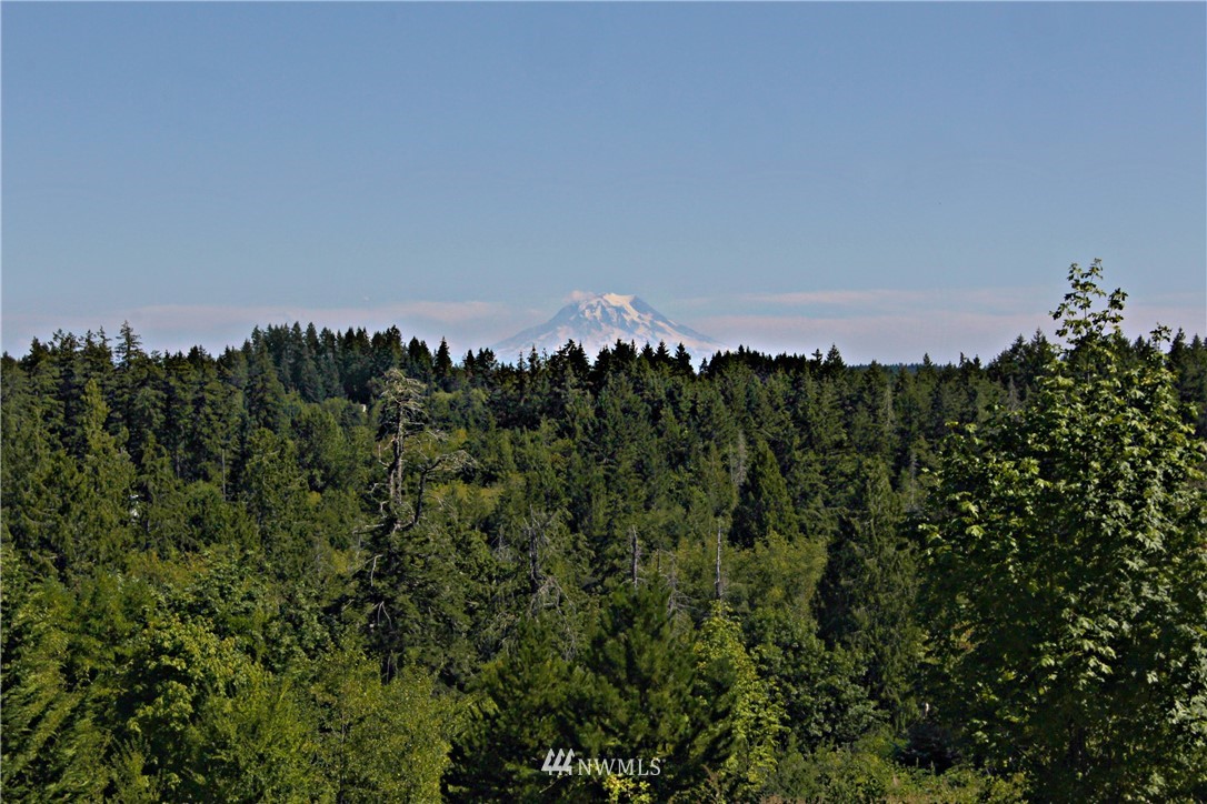 4145 East Grapeview Loop Road Grapeview, WA 98546 - Photo 4 of 21 Gallery Image 4