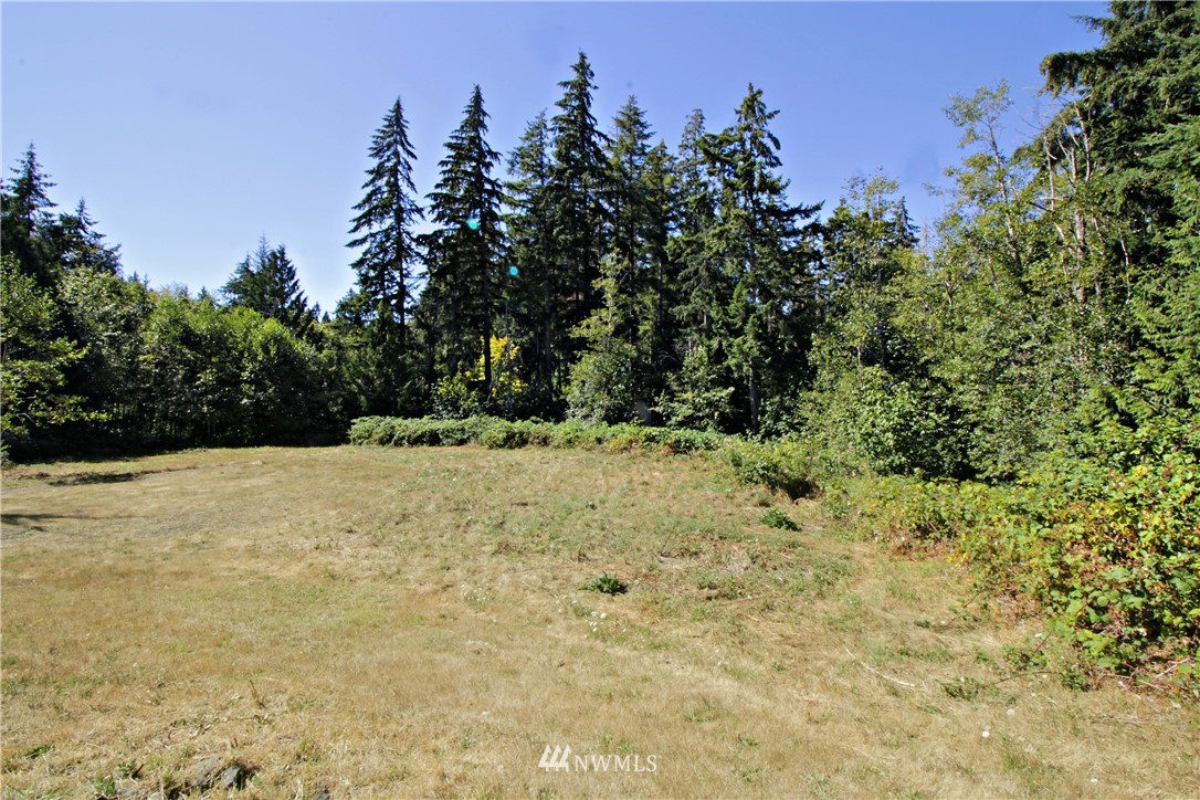 4145 East Grapeview Loop Road Grapeview, WA 98546 - Photo 6 of 21 Gallery Image 6