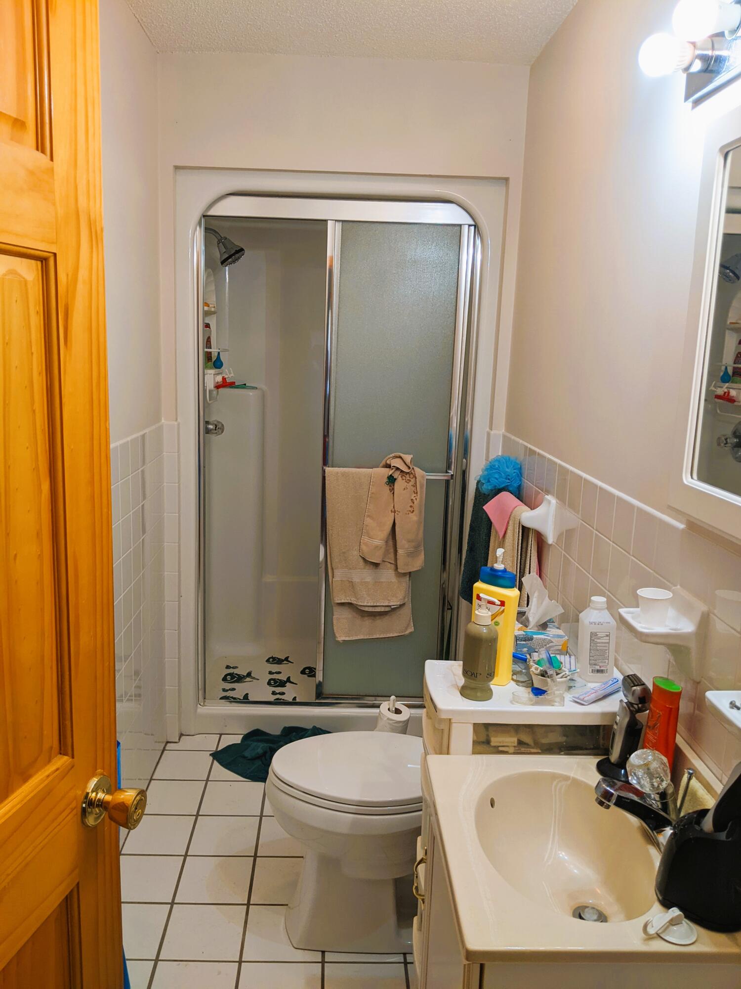 2321 North Wesley Chapel Road Greeneville, TN 37745 - Photo 19 of 64 PXL_20220623_192512385