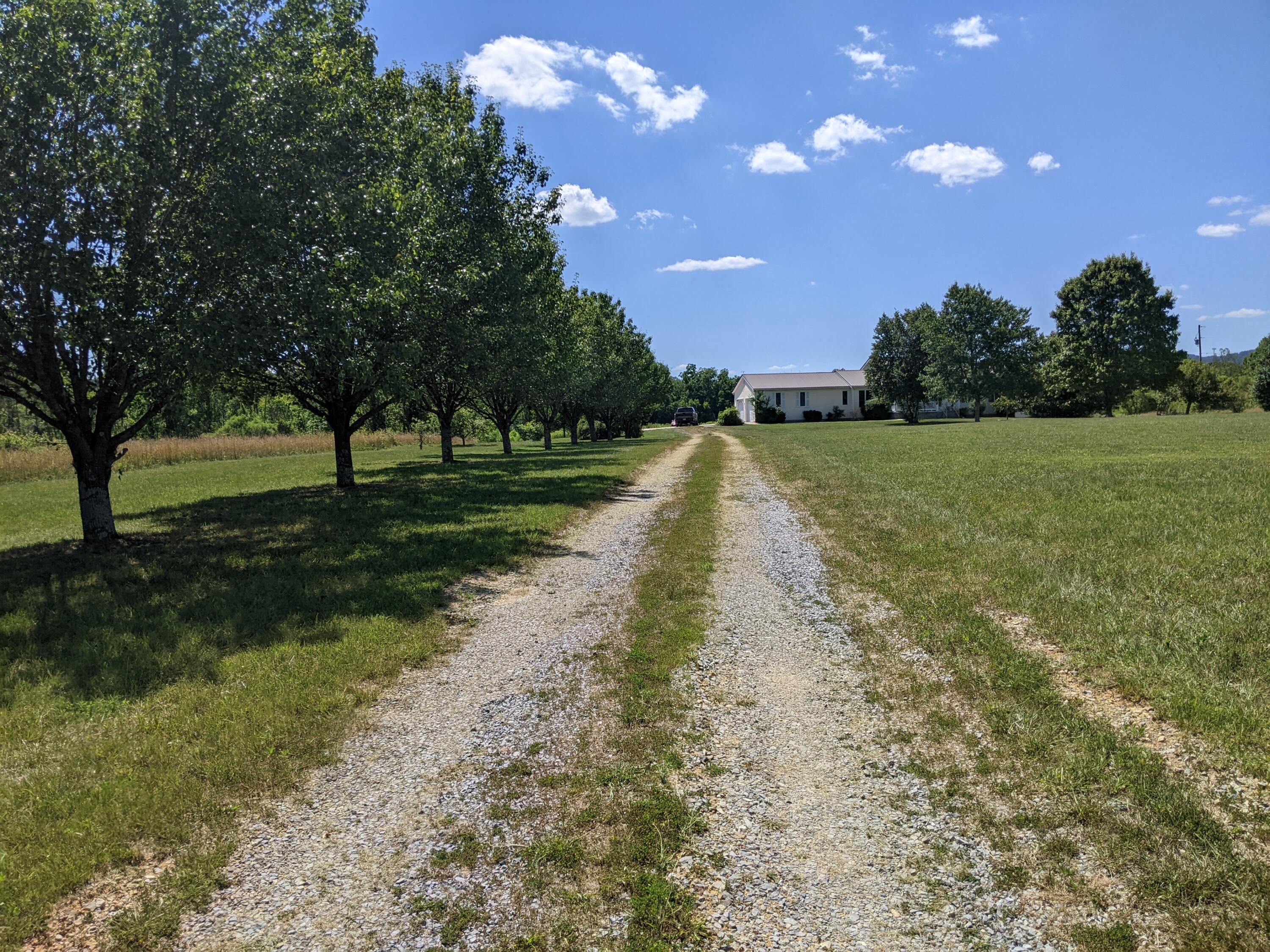 2321 North Wesley Chapel Road Greeneville, TN 37745 - Photo 4 of 64 PXL_20220623_194538502