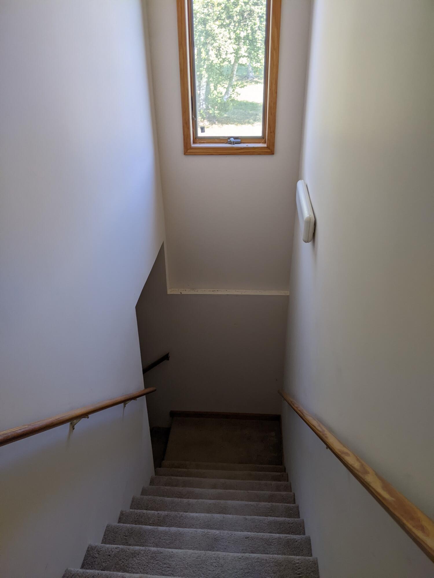 2321 North Wesley Chapel Road Greeneville, TN 37745 - Photo 42 of 64 PXL_20220623_193900826