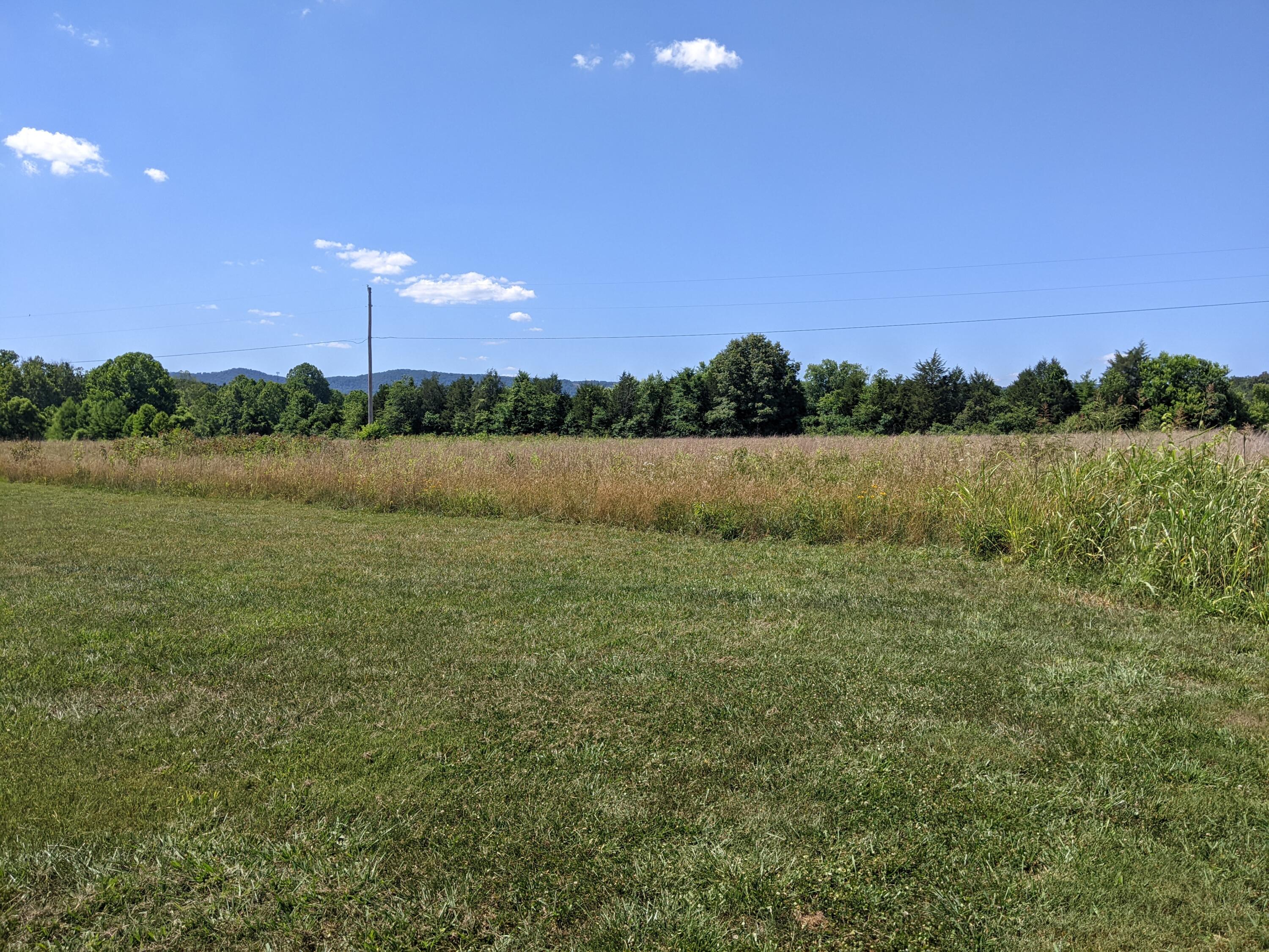 2321 North Wesley Chapel Road Greeneville, TN 37745 - Photo 51 of 64 PXL_20220623_194434865
