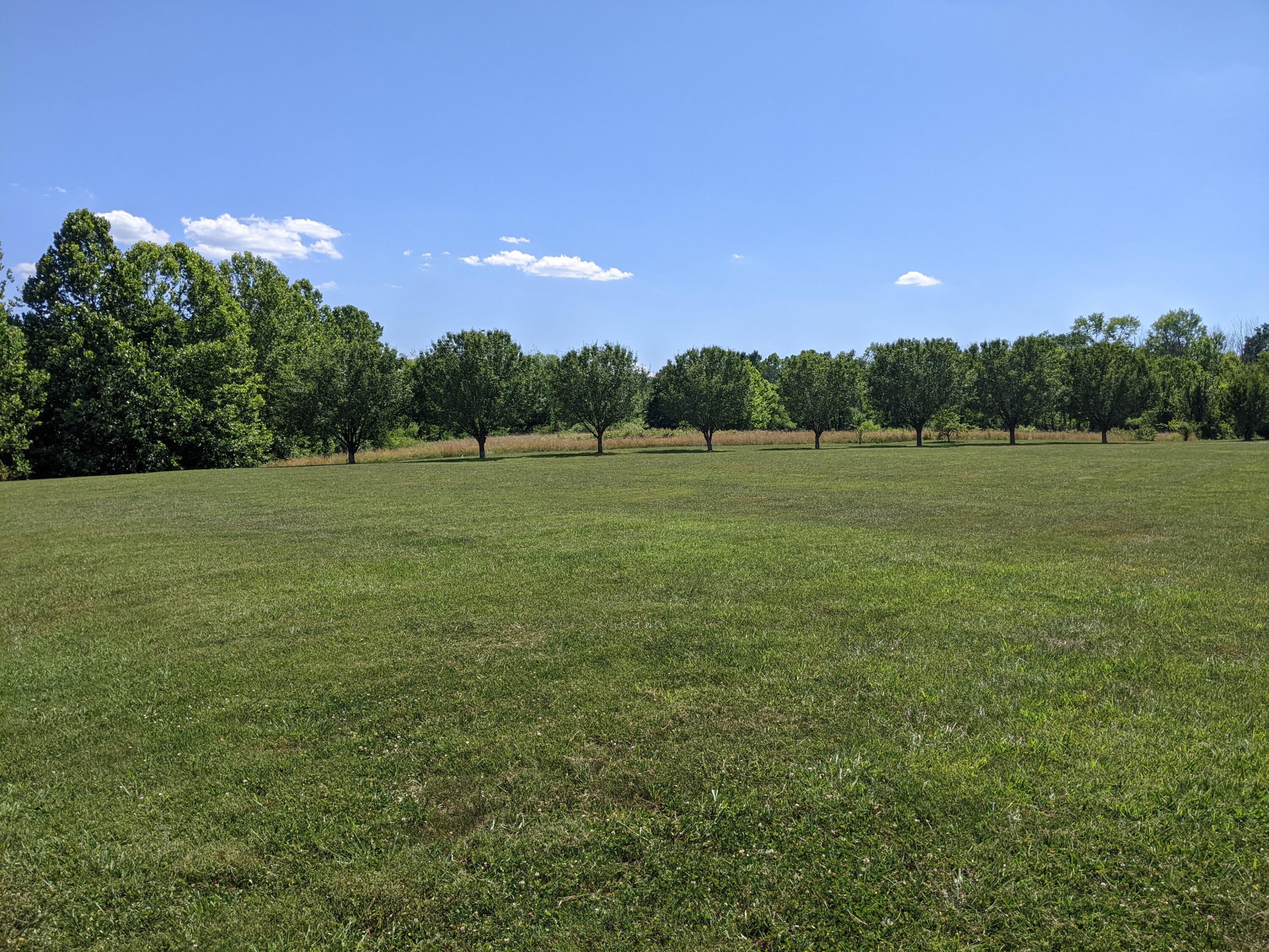 2321 North Wesley Chapel Road Greeneville, TN 37745 - Photo 52 of 64 PXL_20220623_194440061
