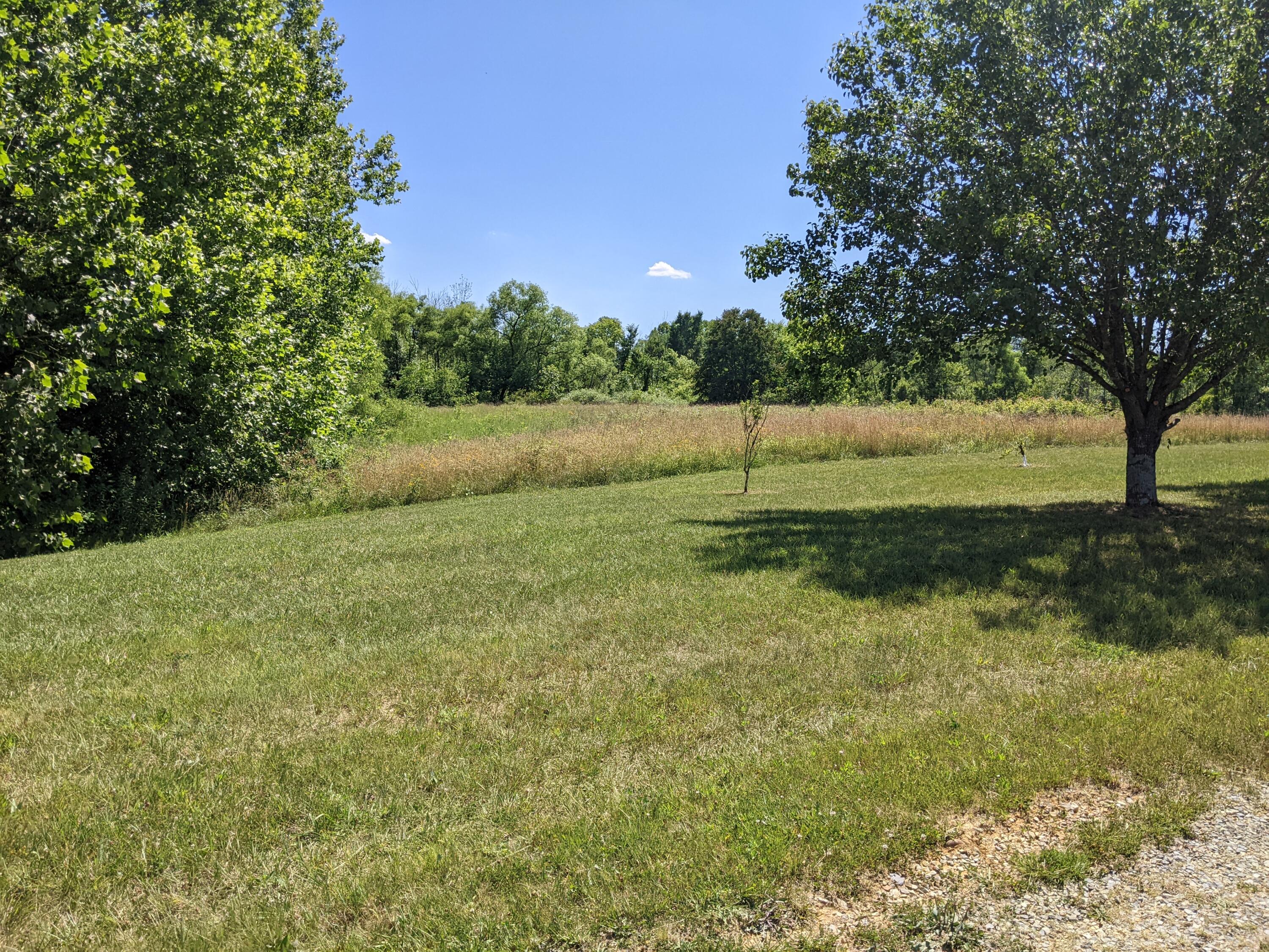 2321 North Wesley Chapel Road Greeneville, TN 37745 - Photo 53 of 64 PXL_20220623_194535926