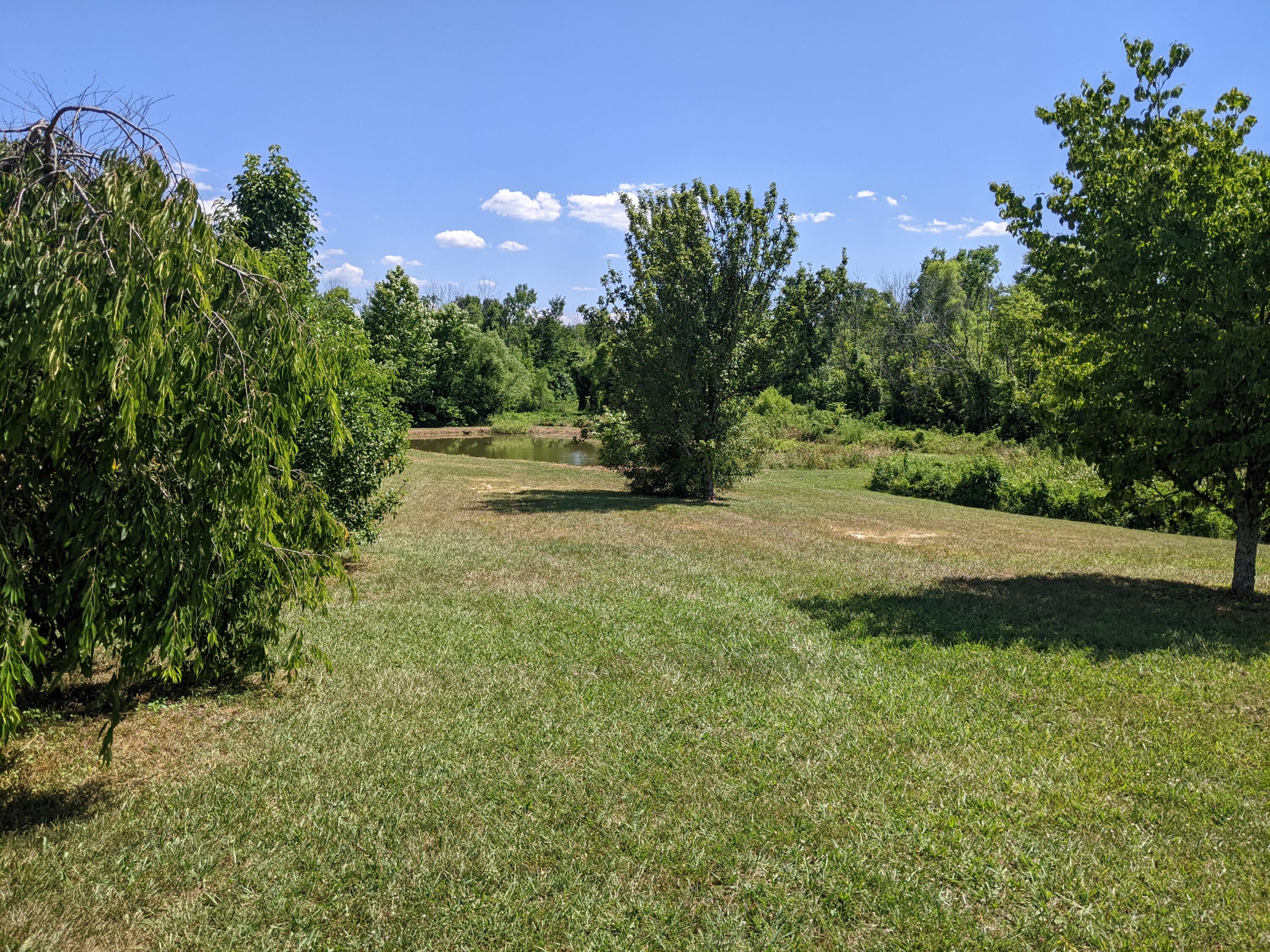 2321 North Wesley Chapel Road Greeneville, TN 37745 - Photo 54 of 64 PXL_20220623_194724150