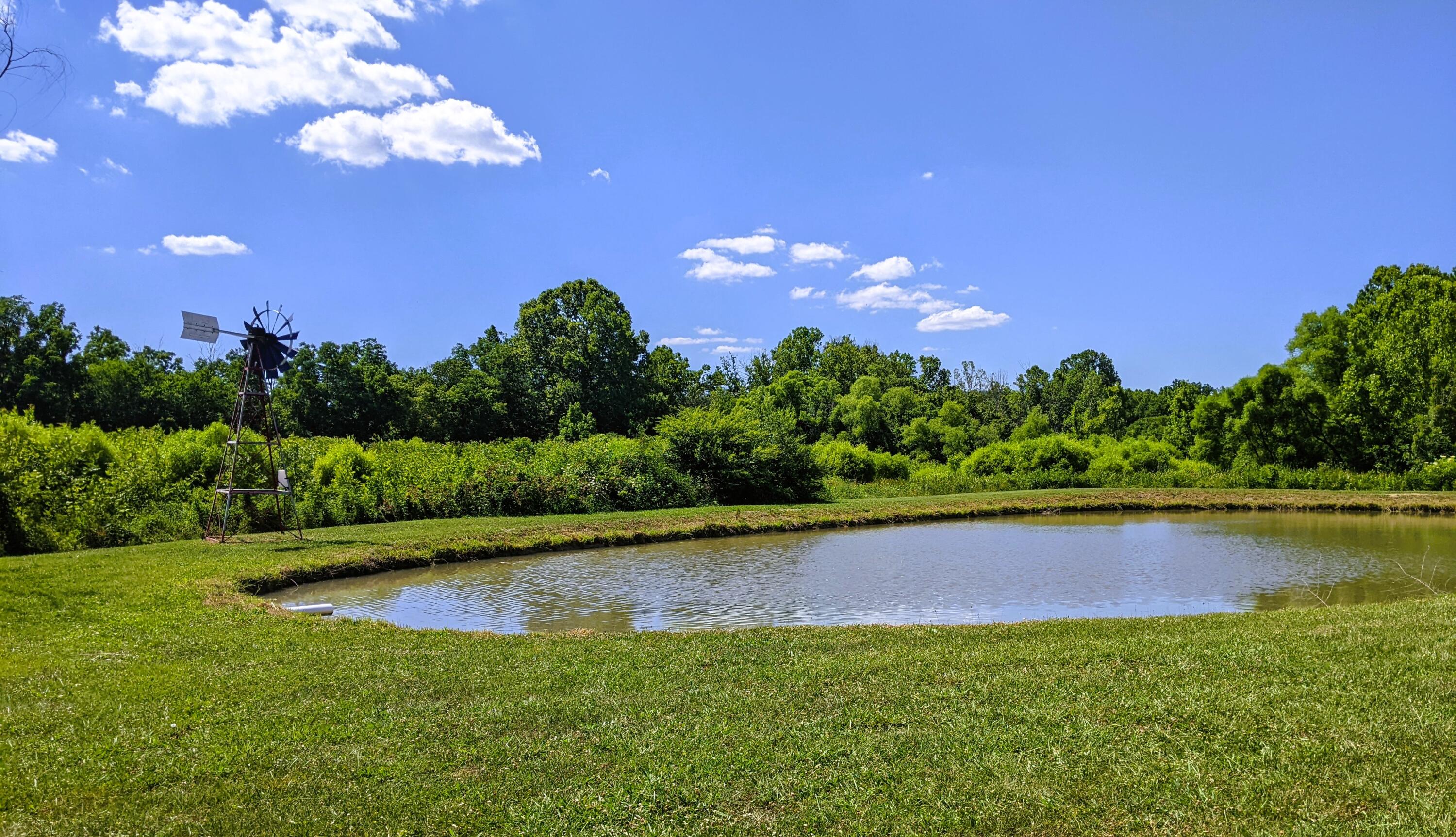 2321 North Wesley Chapel Road Greeneville, TN 37745 - Photo 63 of 64 PXL_20220623_195040268