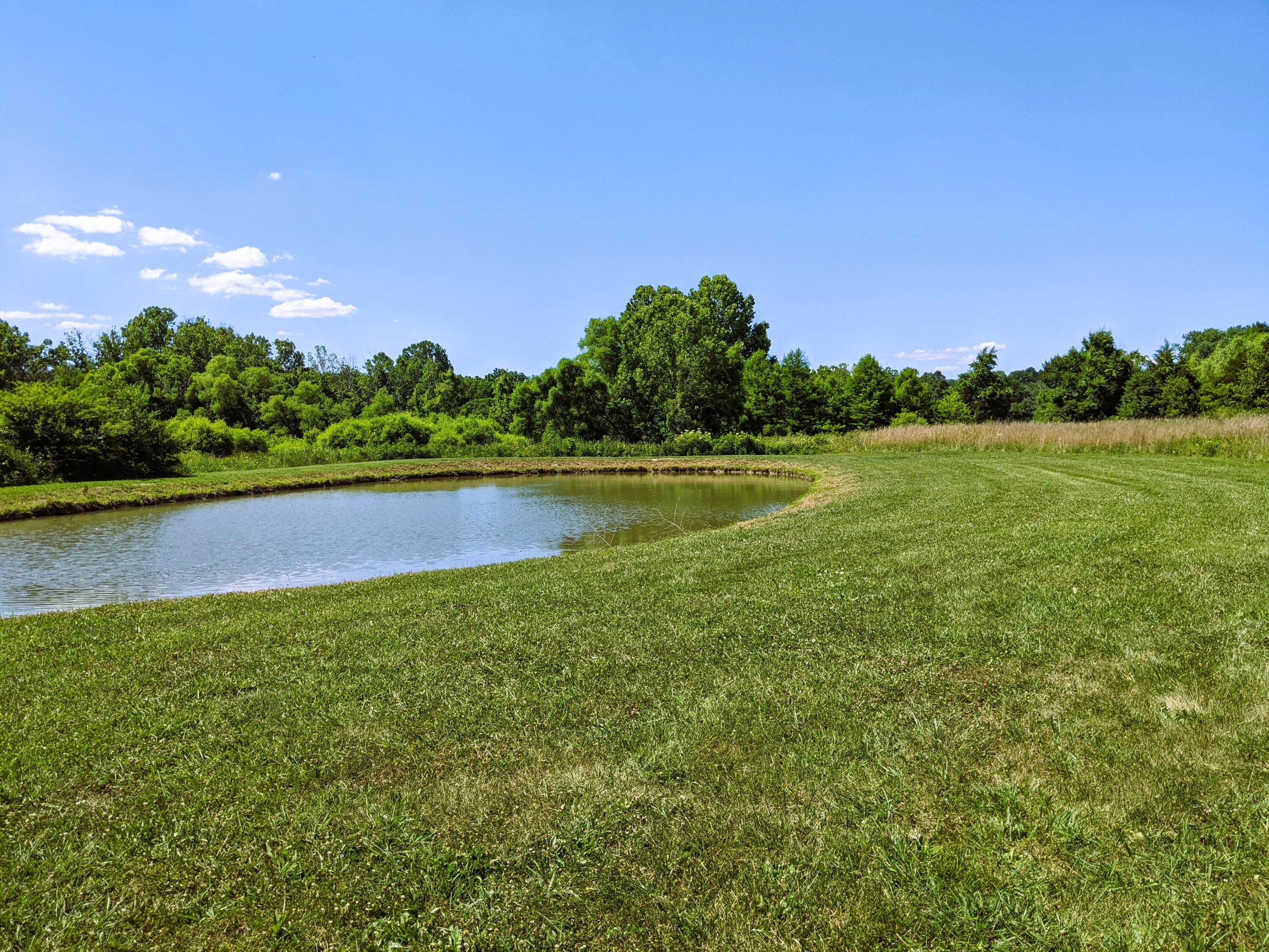 2321 North Wesley Chapel Road Greeneville, TN 37745 - Photo 64 of 64 PXL_20220623_195042501