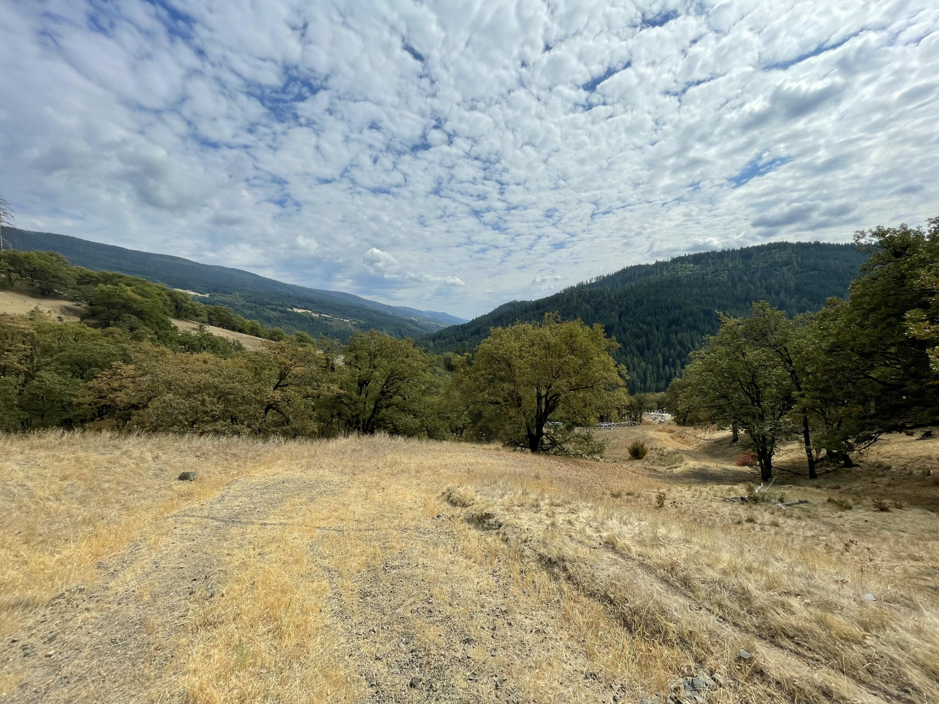 40-acres 40-acres Ridge Road Mad River, CA 95526 - Photo 12 of 28