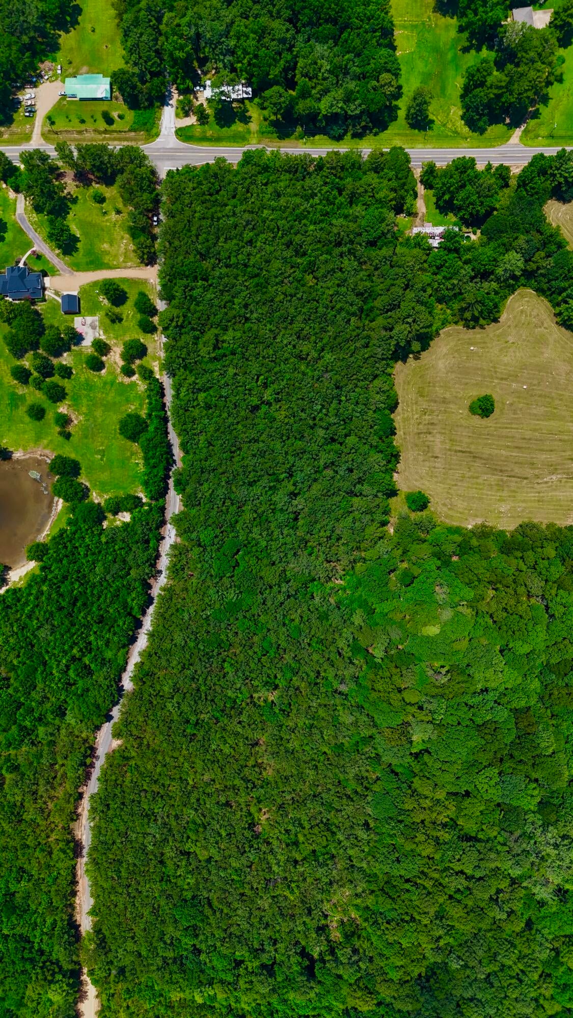 Lot 6 Old Morris Road Eupora, MS 39744 - Photo 11 of 23 Gallery Image 11